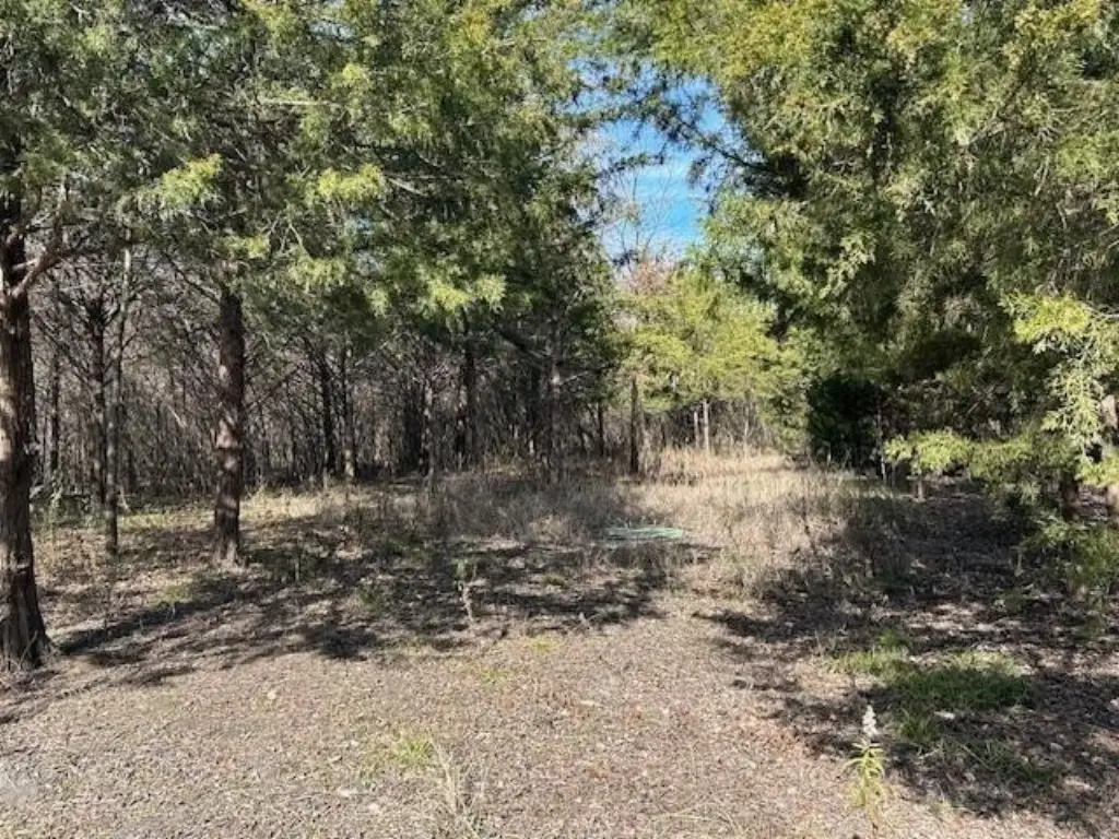 Picture 20