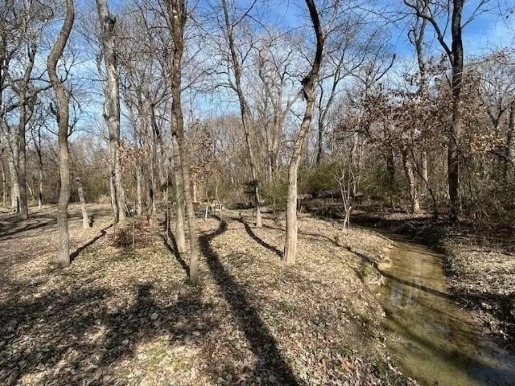 Picture 13