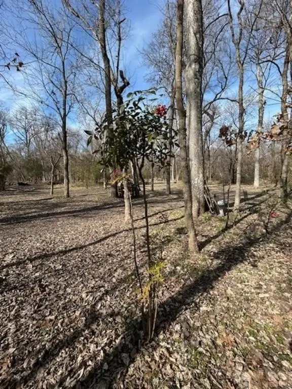 Picture 12