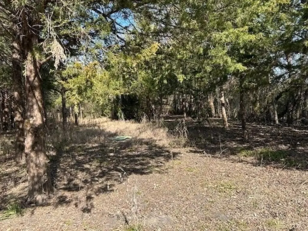 Picture 21