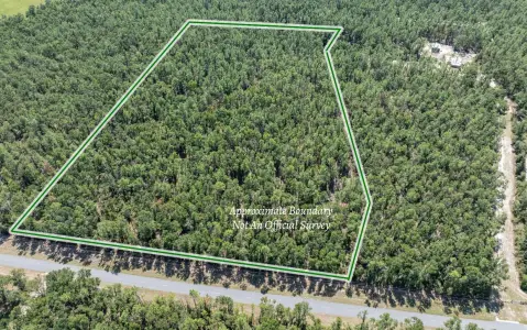 10.04 Acres in Live Oak
