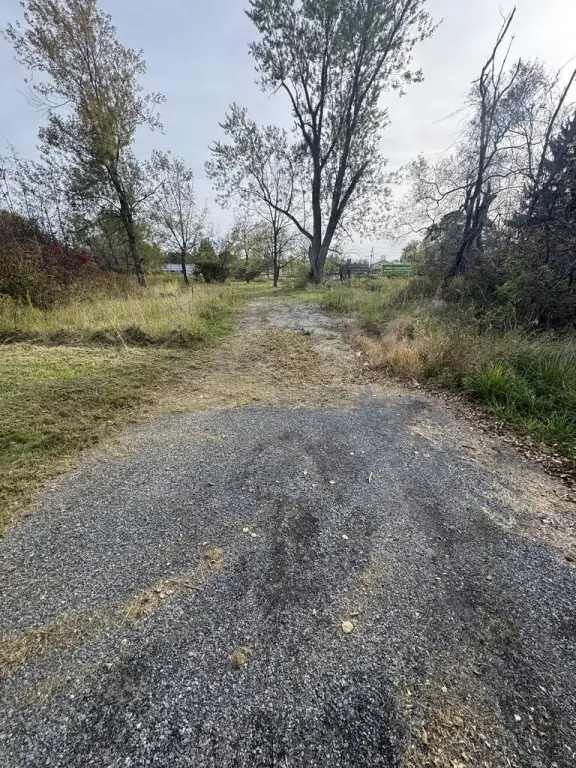 Picture 13