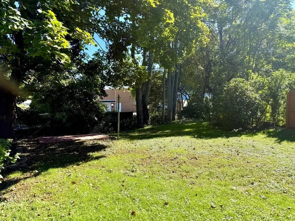 Picture 29