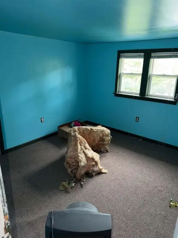 Picture 15