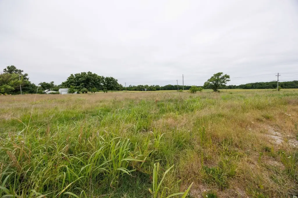 Picture 15