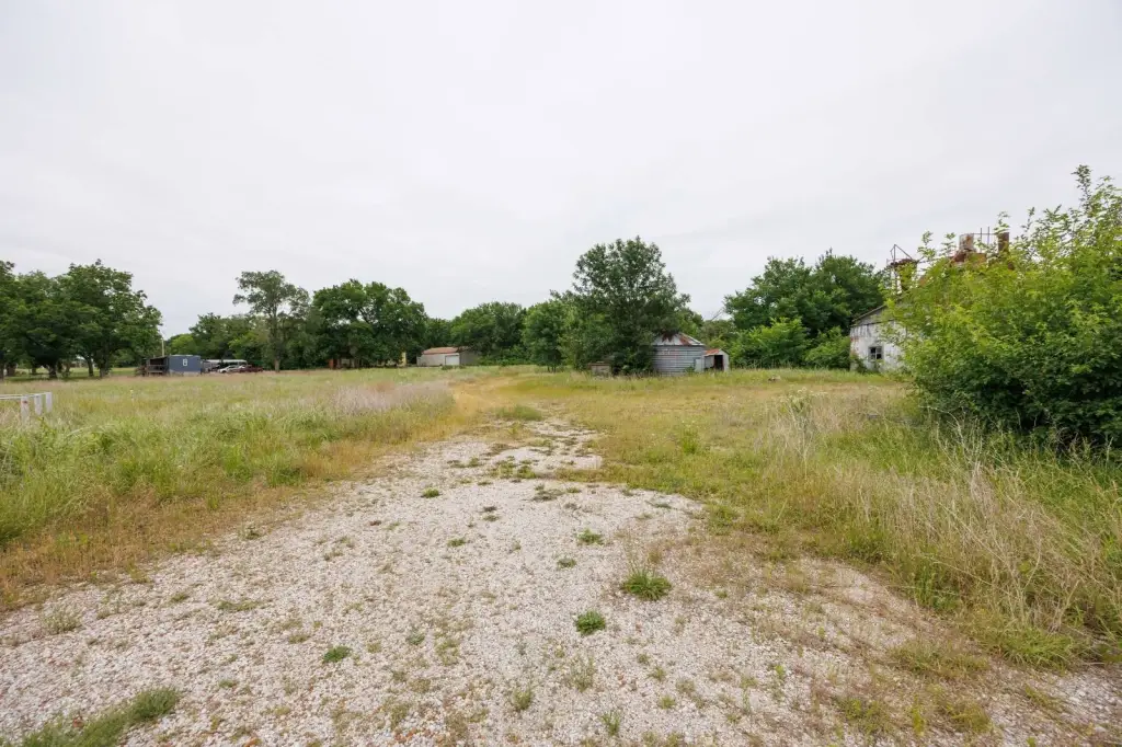 Picture 20