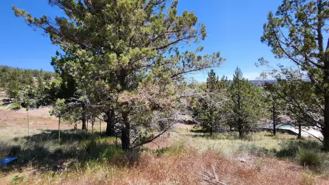 Ochoco West Land Parcel