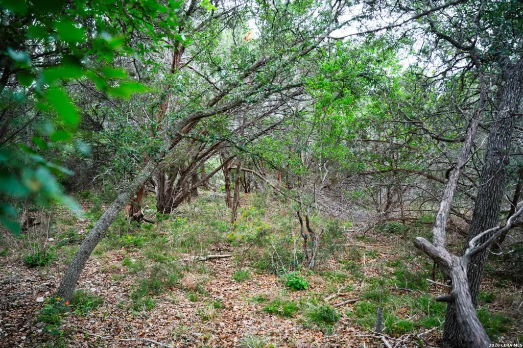 Picture 25