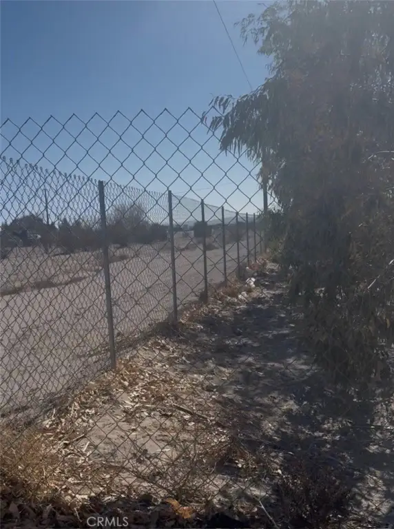 Picture 6