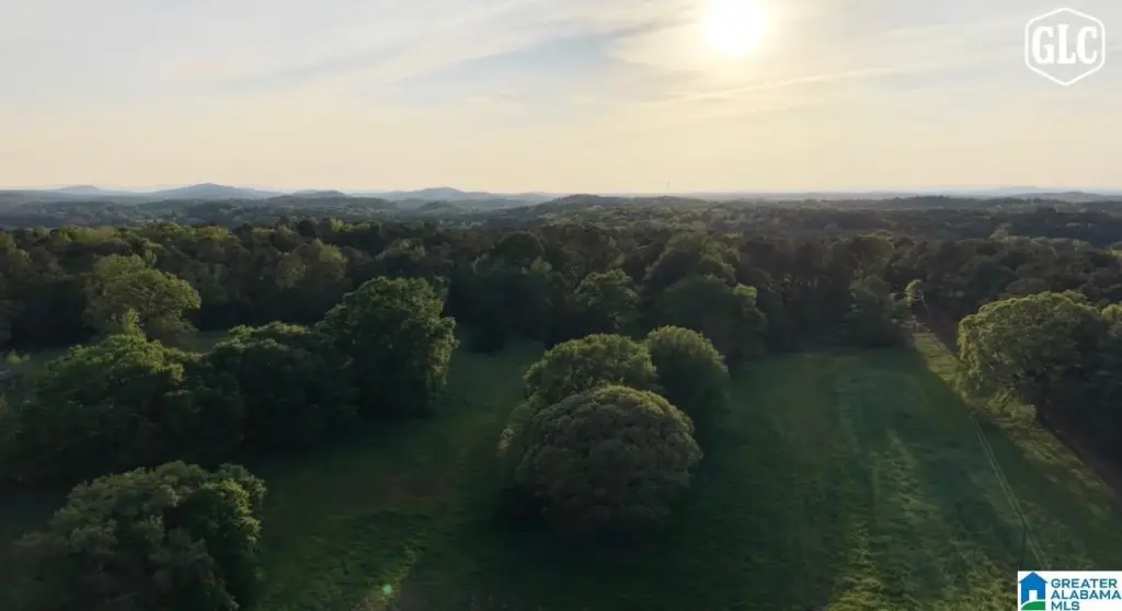Picture 26