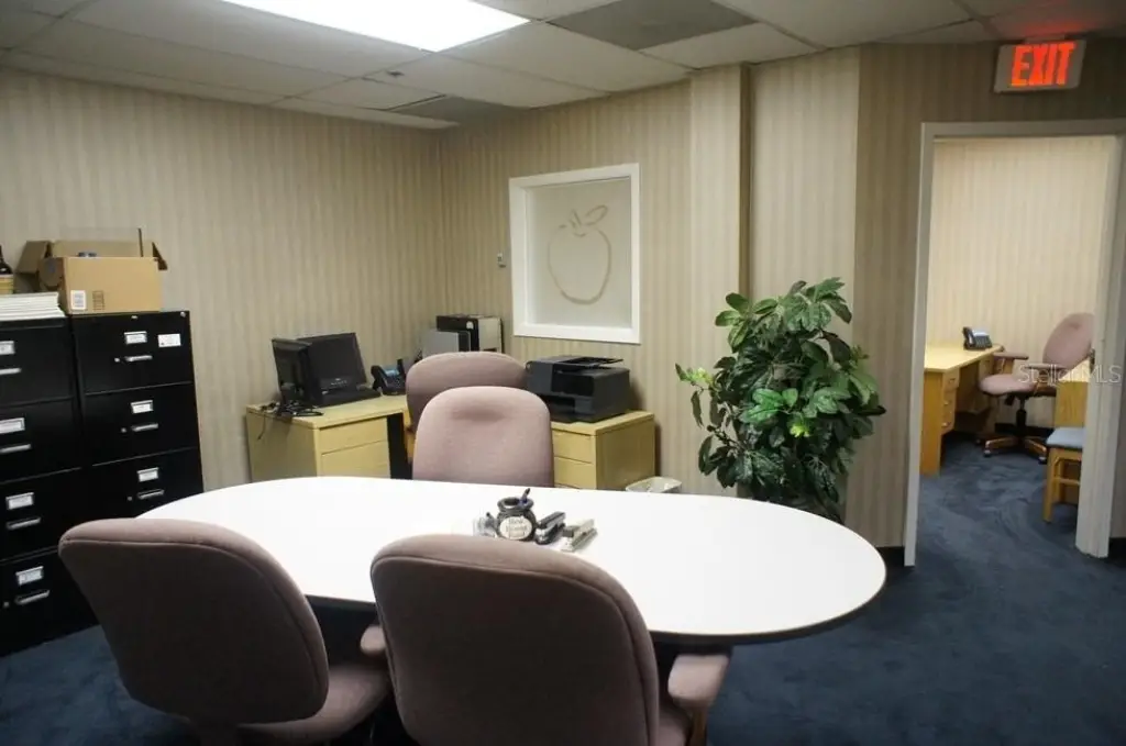 Picture 5