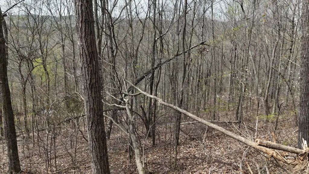 Picture 11