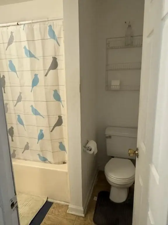 Picture 32