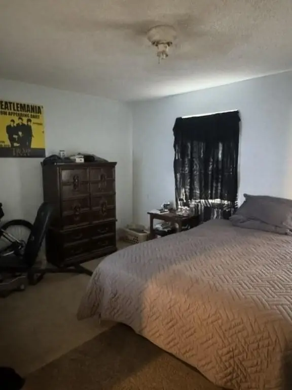 Picture 30