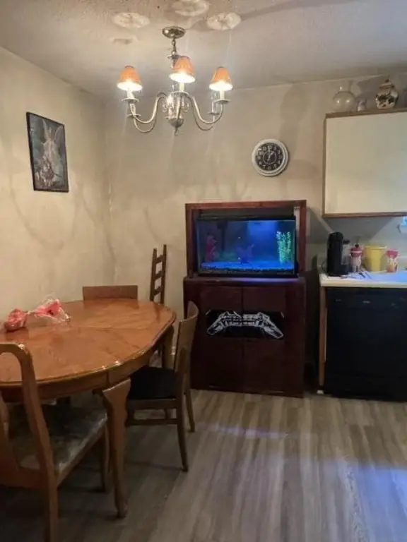 Picture 27