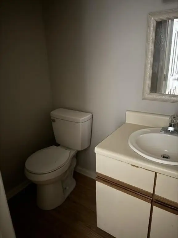 Picture 11