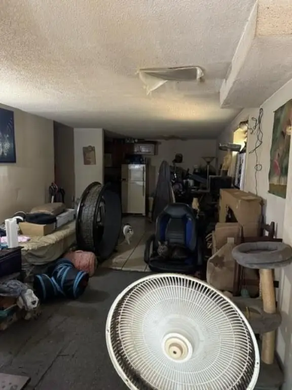 Picture 35