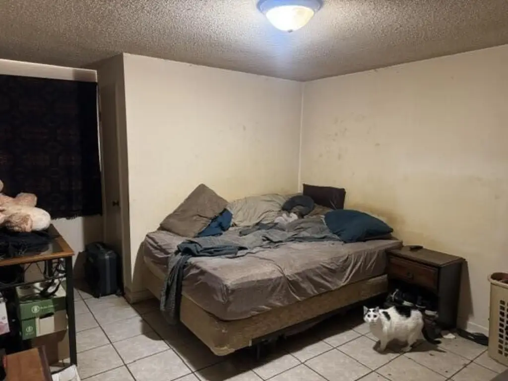 Picture 38