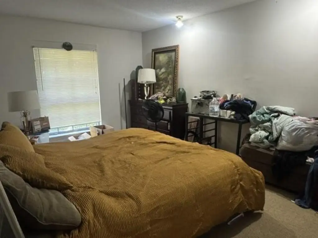 Picture 29