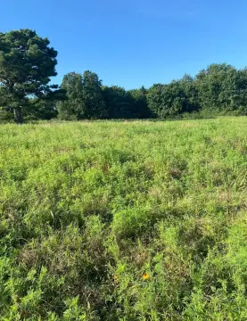 Unrestricted Land Near Eufaula Lake