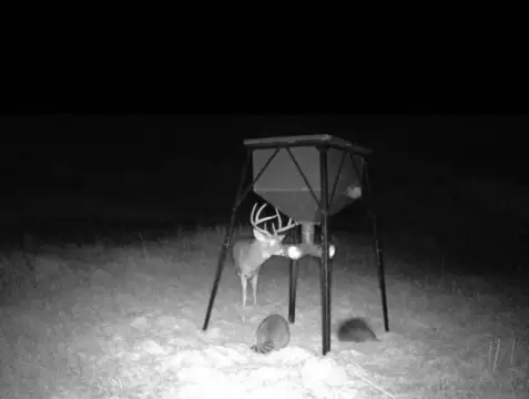 Nebraska Hunting Land with Sod House