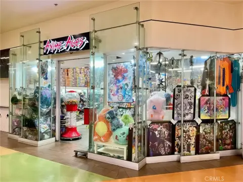 Established Toy Store Opportunity