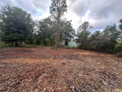 Picture of Land at Carteret Rd 323, Georgetown, FL