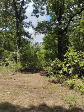 Mena, AR 10-Acre Land