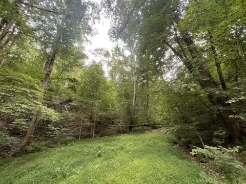 Ranger, GA Land For Sale
