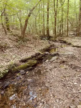 Secluded Lot in Ranger, GA