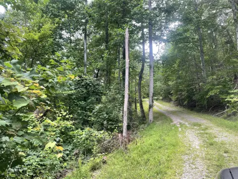 Ranger, GA Secluded Lot