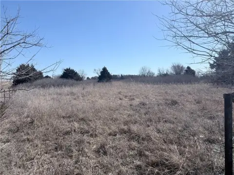 39.3 Acres Hunting Land