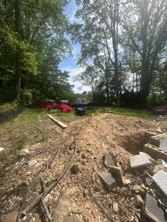 Picture 5
