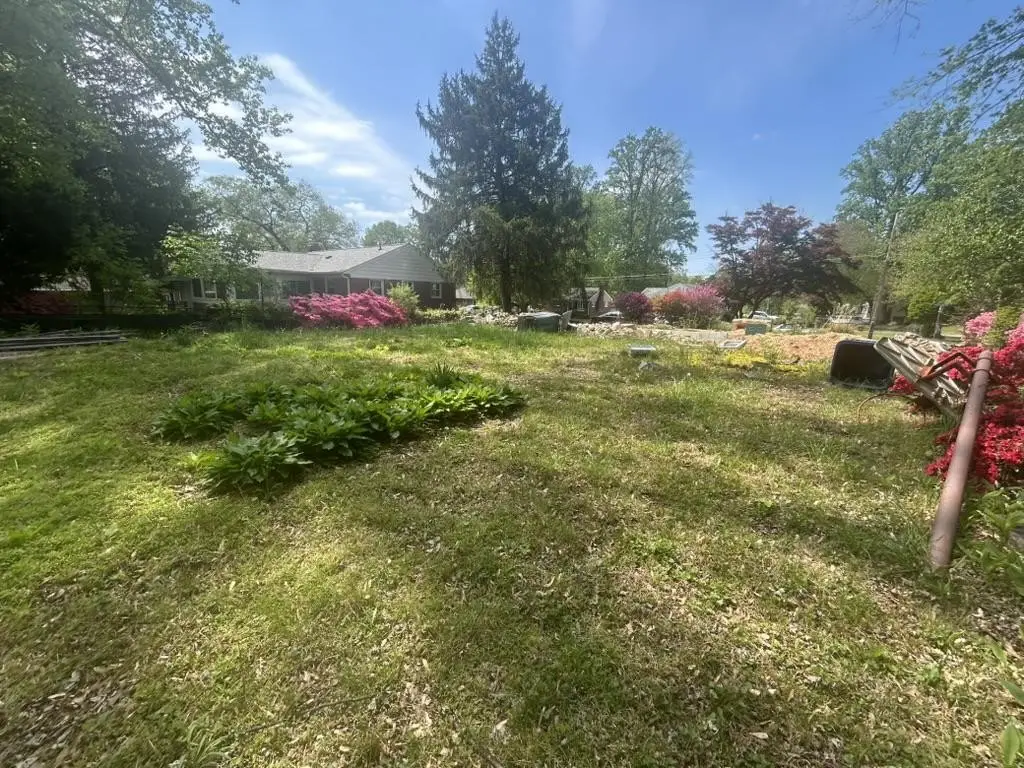 Picture 2