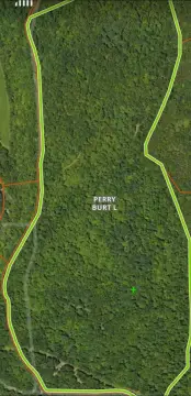 Wooded Land Tract For Sale
