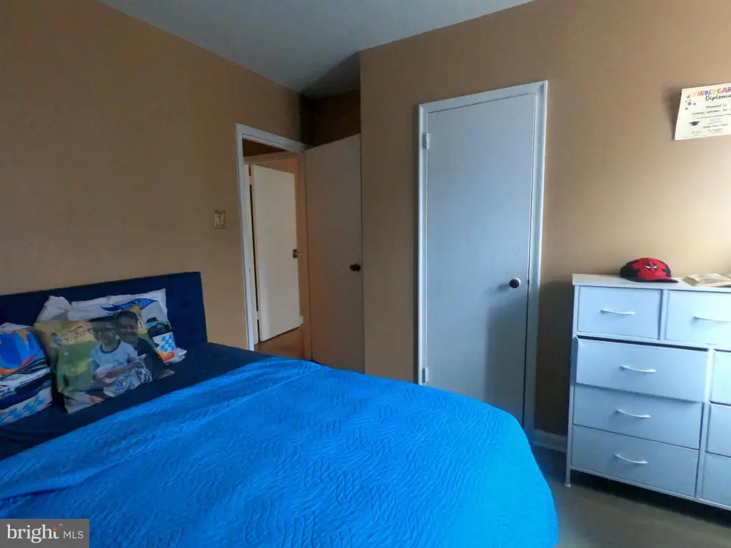 Picture 8