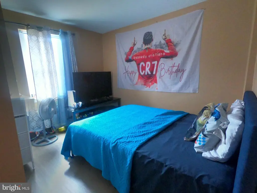 Picture 7