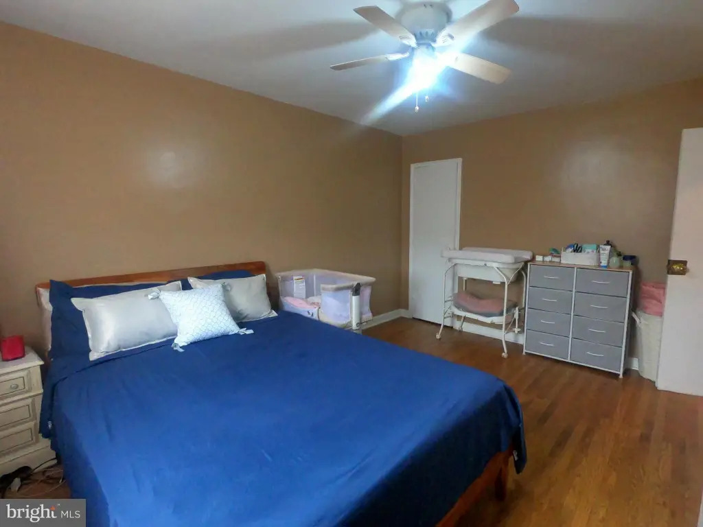 Picture 21