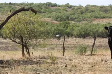 319 Acres Hunting & Ranching Land