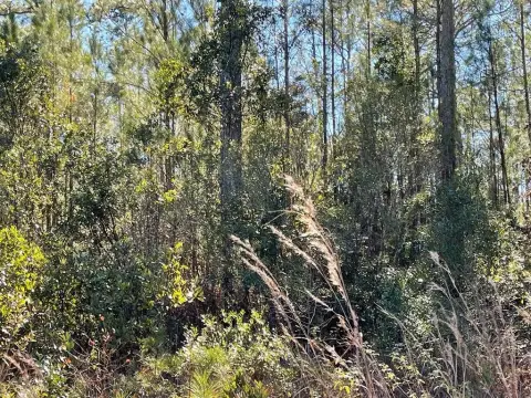 Residential Lot in Gated Community