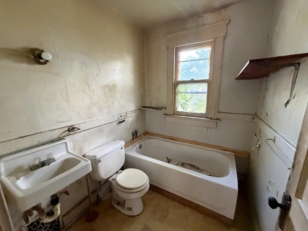 Picture 21