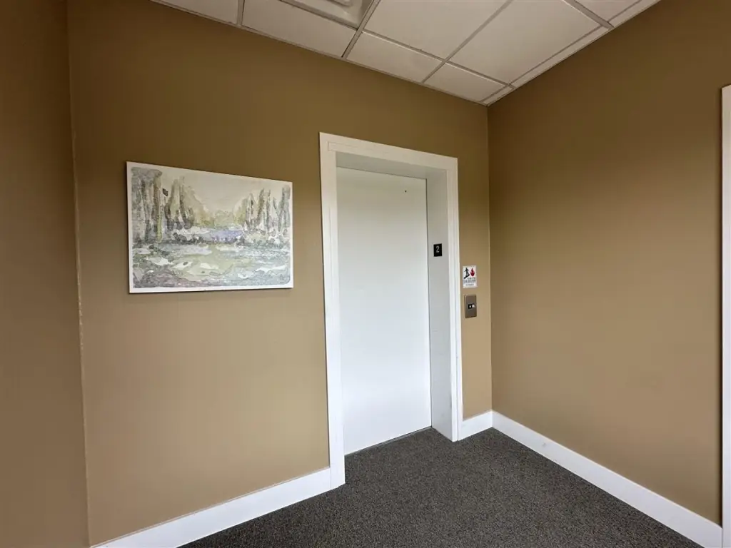 Picture 5