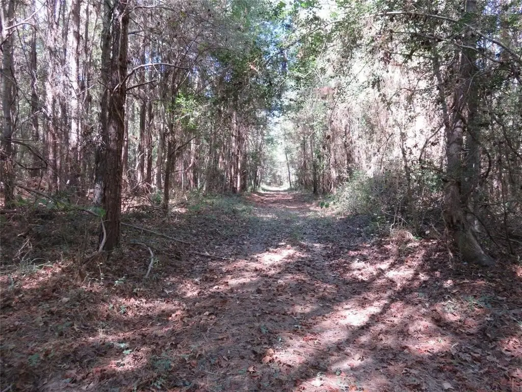 Picture 17