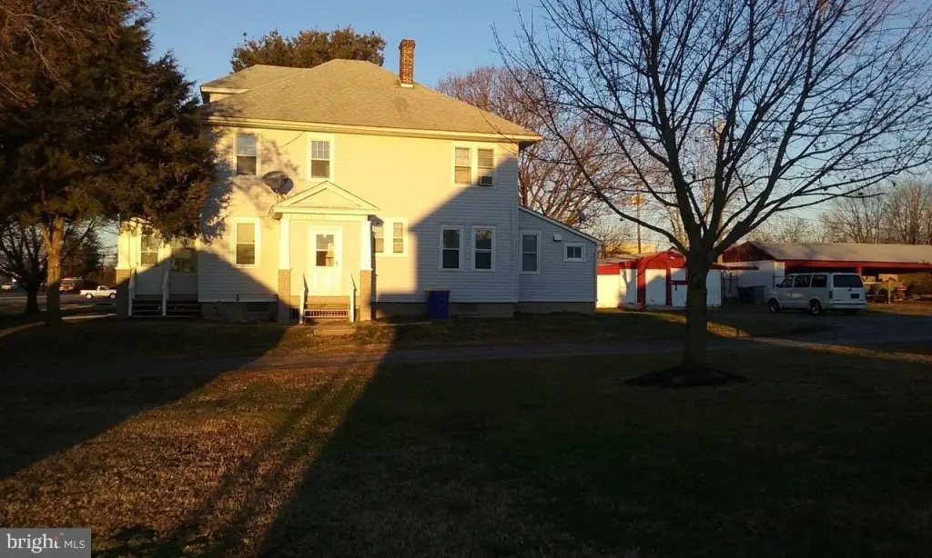 Picture 5