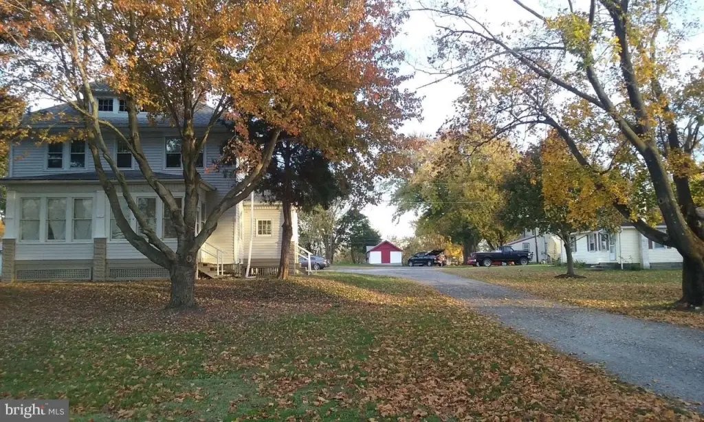 Picture 2