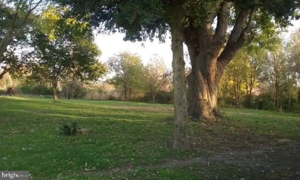 Picture 15