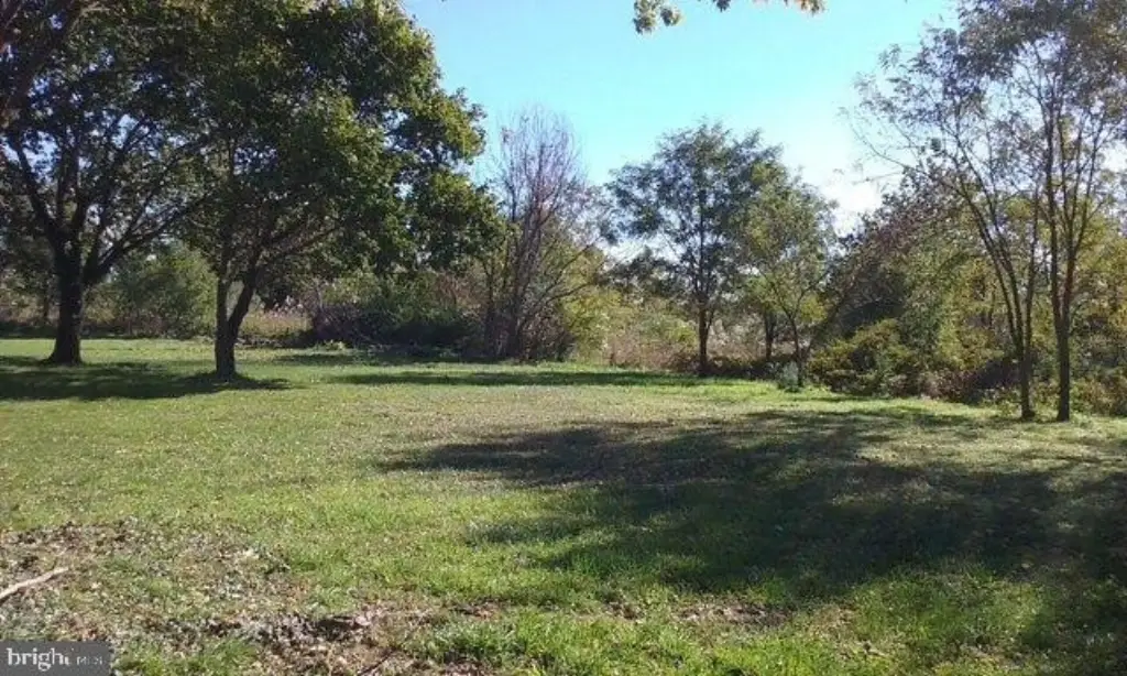 Picture 10