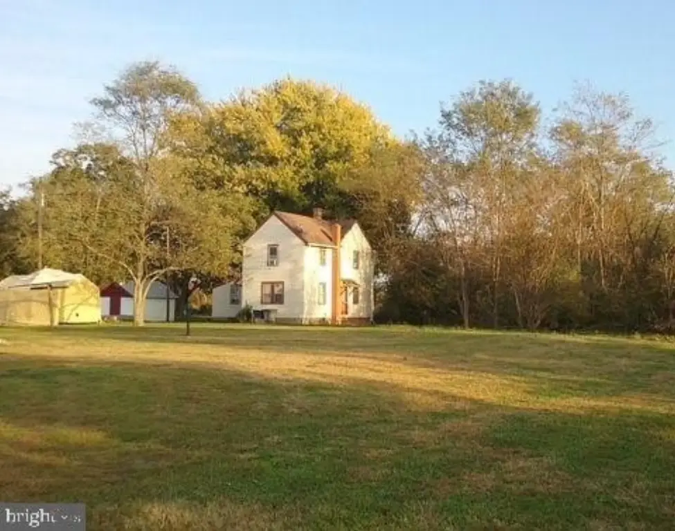 Picture 12