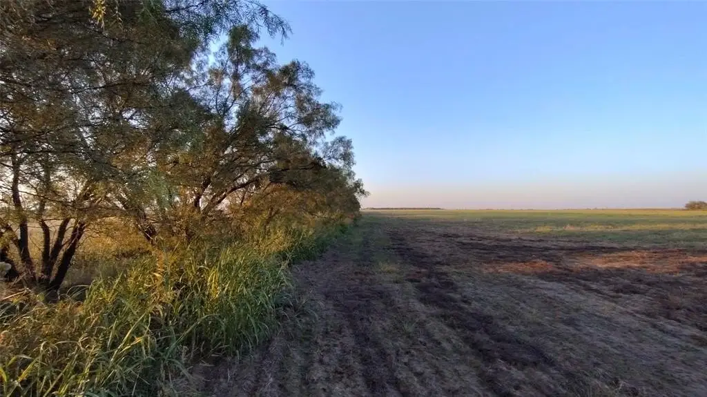 Picture 20