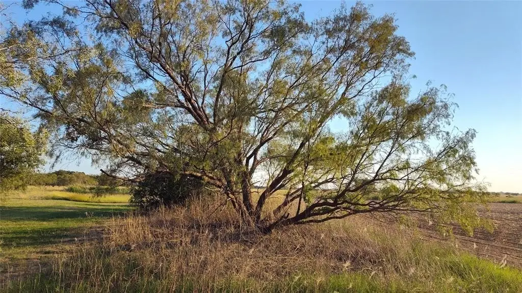 Picture 28